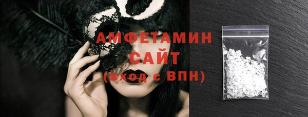 шишки Абаза