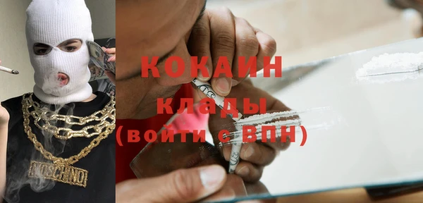 шишки Абаза
