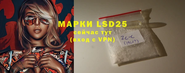 шишки Абаза