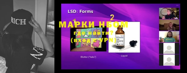 шишки Абаза