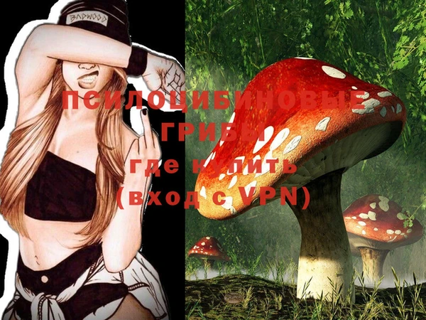 шишки Абаза