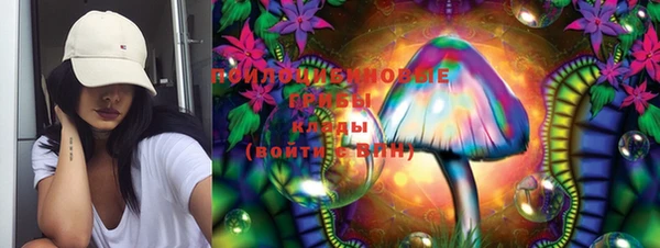 шишки Абаза