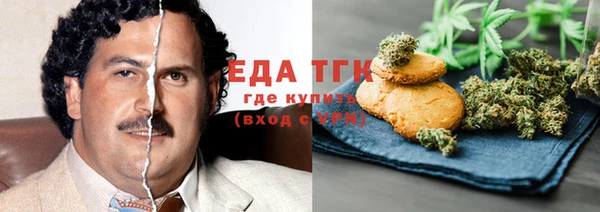 шишки Абаза