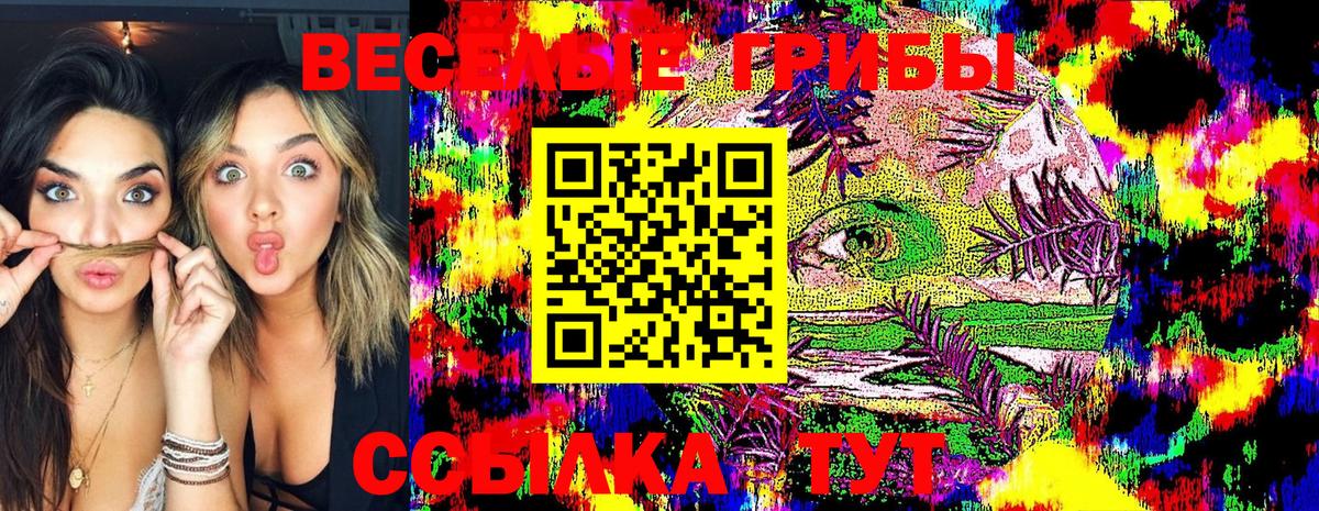 Галлюциногенные грибы Cubensis  Вход с VPN  Сызрань 
