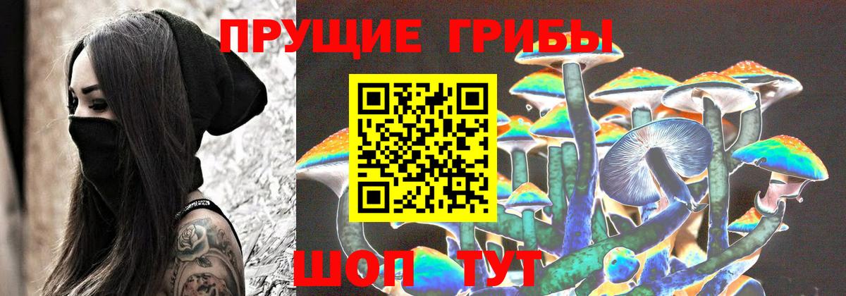 Галлюциногенные грибы GOLDEN TEACHER Сызрань